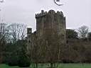 blarney_1.jpg